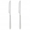 Lot de 2 couteaux inox NEVIS - Argent