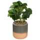 Lampe pour plante
