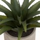 Plante artificielle en pot ciment bicolore H28cm - Doré