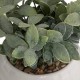 Plante artificielle en pot céramique bicolore D11cm - Blanc