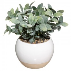 Plante artificielle en pot céramique bicolore D11cm - Blanc