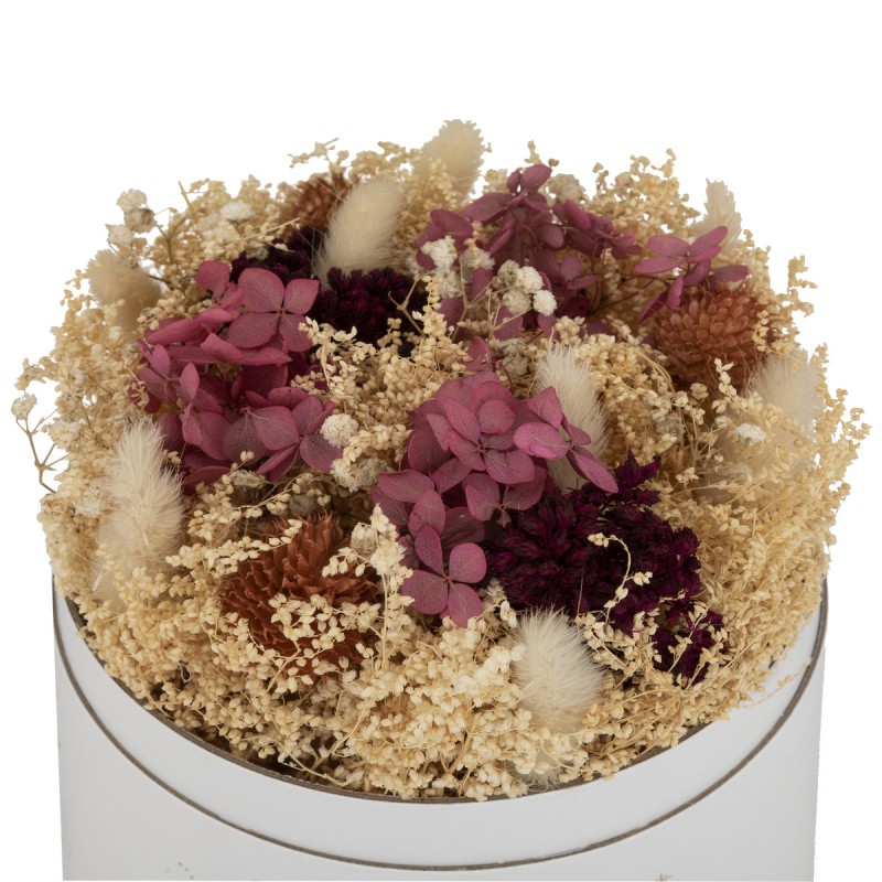 boite de fleurs séchées - Pois de senteur
