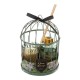 Coffret cadeau cage bougie et diffuseur NATURE SAUVAGE - Vanille exotique