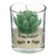 Coffret cadeau cage bougie et diffuseur ZEN - Eucalyptus