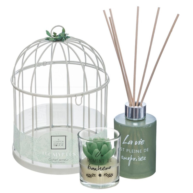 Coffret Cadeau Cage Bougie Et Diffuseur Zen Eucalyptus Veo Shop 