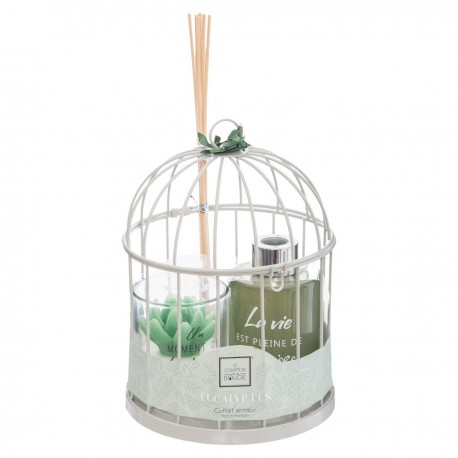 Coffret cadeau cage bougie et diffuseur ZEN - Eucalyptus