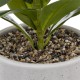 Plante artificielle en pot céramique H30cm RÉACTIVE - Blanc