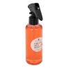 Spray d'ambiance 200mL IZOR - Fruit des bois