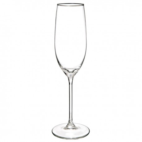 Lot de 6 flûtes en verre 21cL LINA - Transparent