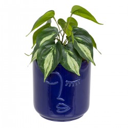 Plante artificielle en pot céramique visage H30cm SOLEYA - Bleu