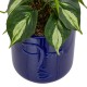 Plante artificielle en pot céramique visage H30cm SOLEYA - Bleu