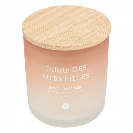 Bougie parfumée en pot 255g SANA - Terre des Merveilles