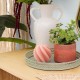 Bougie twist WILD ROMANCE - Rose