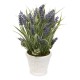 Composition lavande H35cm dans pot céramique PROVENCE