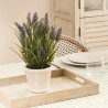 Composition lavande H35cm dans pot céramique PROVENCE