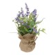 Bunch lavande H29cm dans pot jute PROVENCE