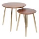 Lot de 2 tables à café gigognes en manguier NOIDA - Marron et doré